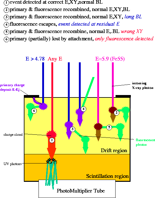 [GSPC interaction scheme]